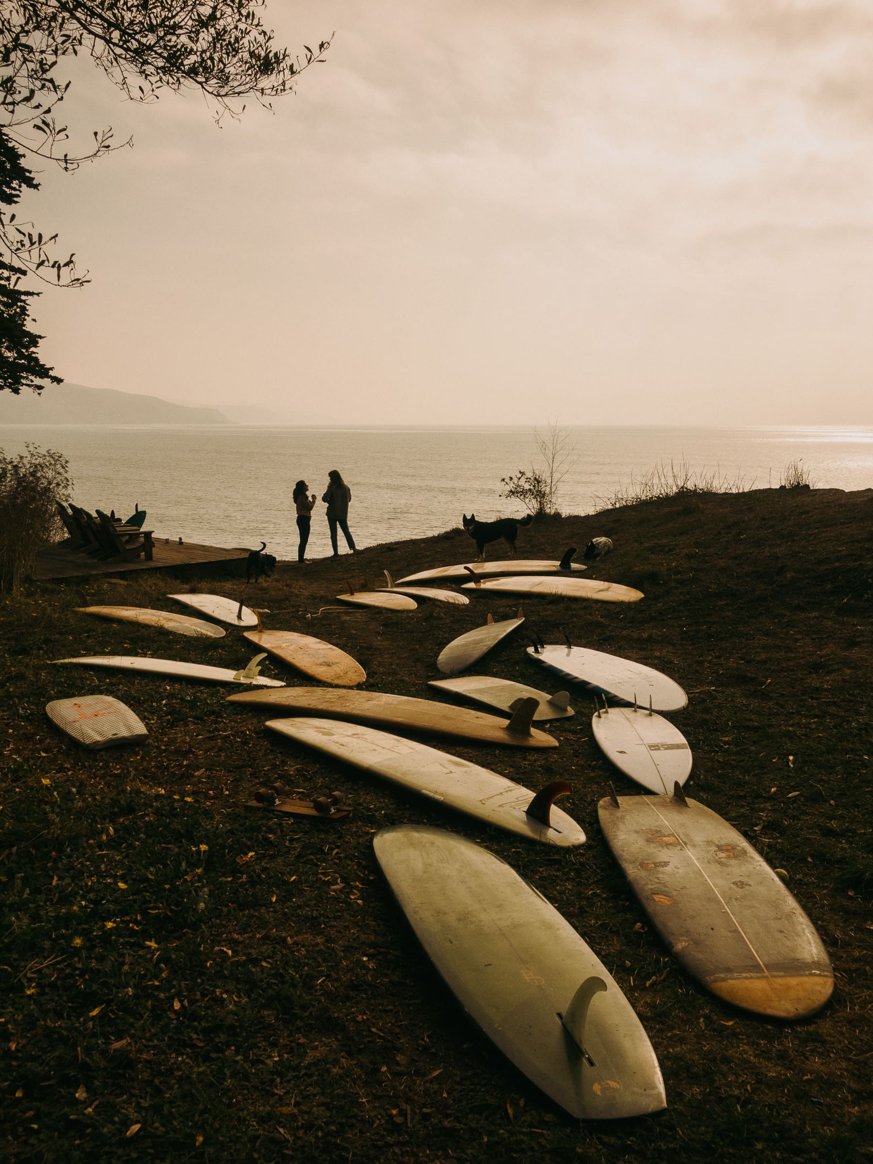 Bolinas x Bruce Brown