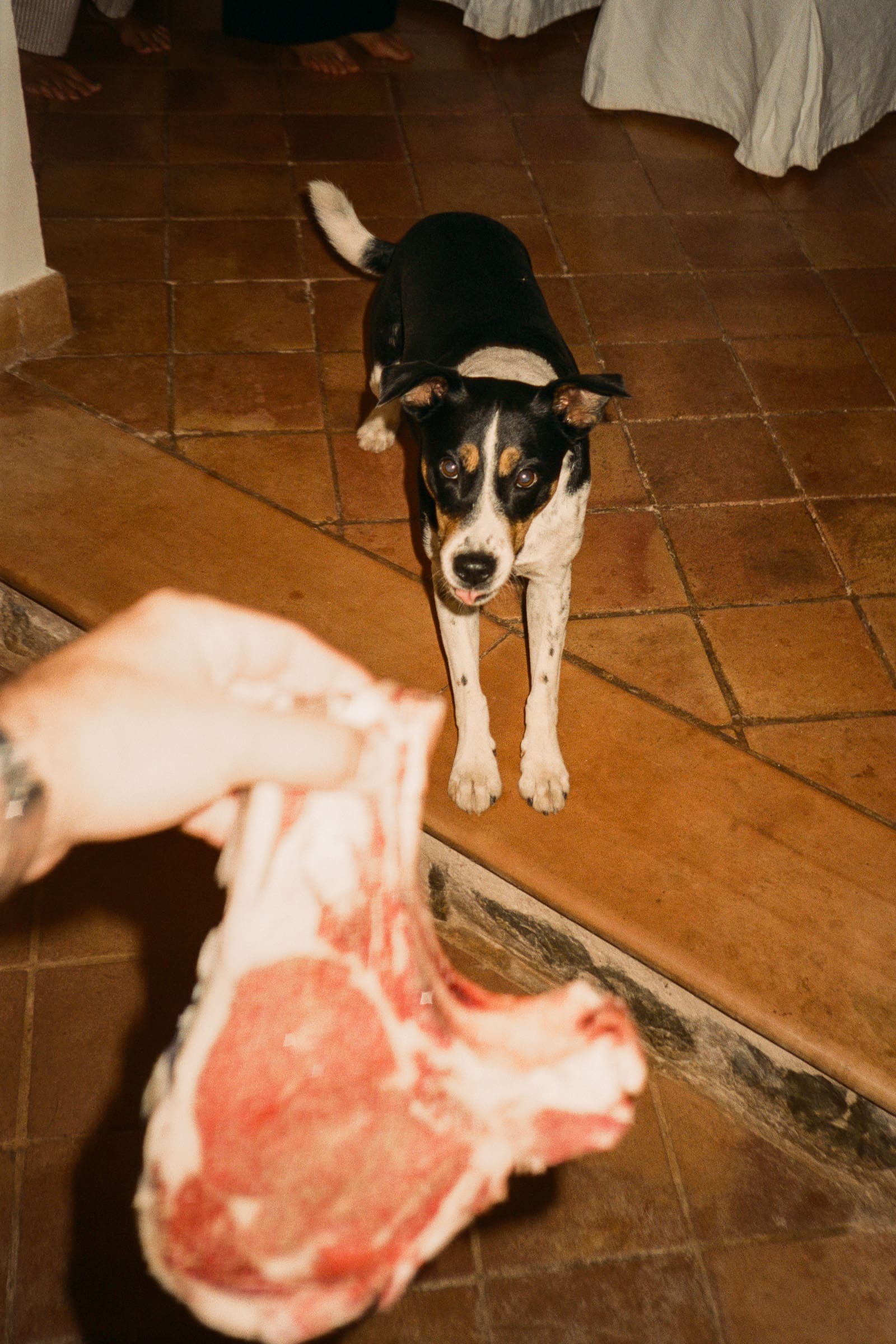 Rod x River x Mallorca